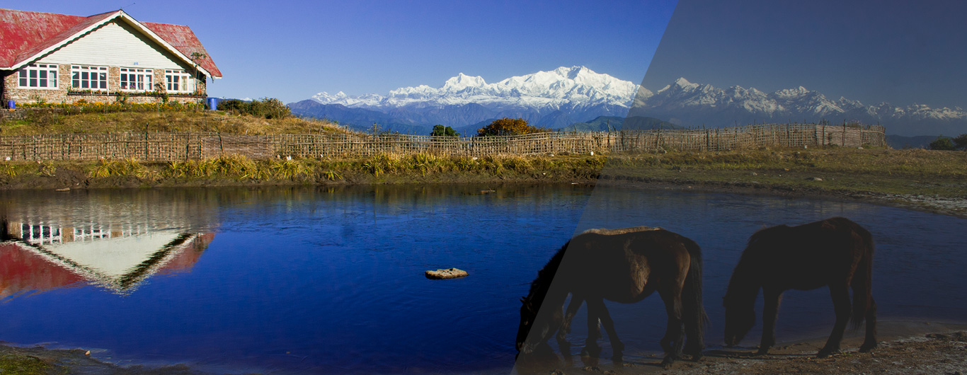 Tonglu
Near Sandakphu West Bengal