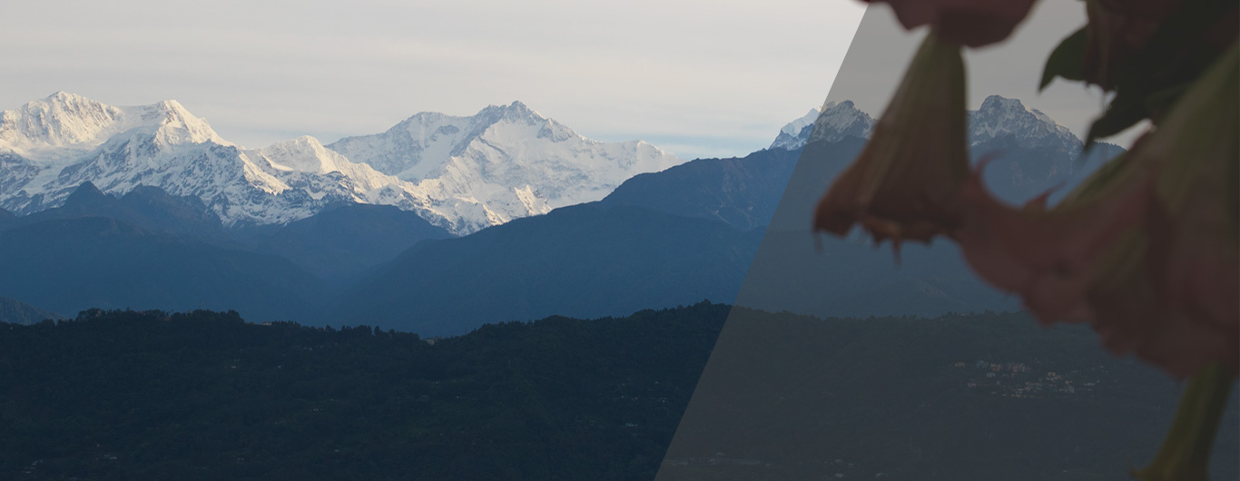 Kanchenjunga
From West Sikkim